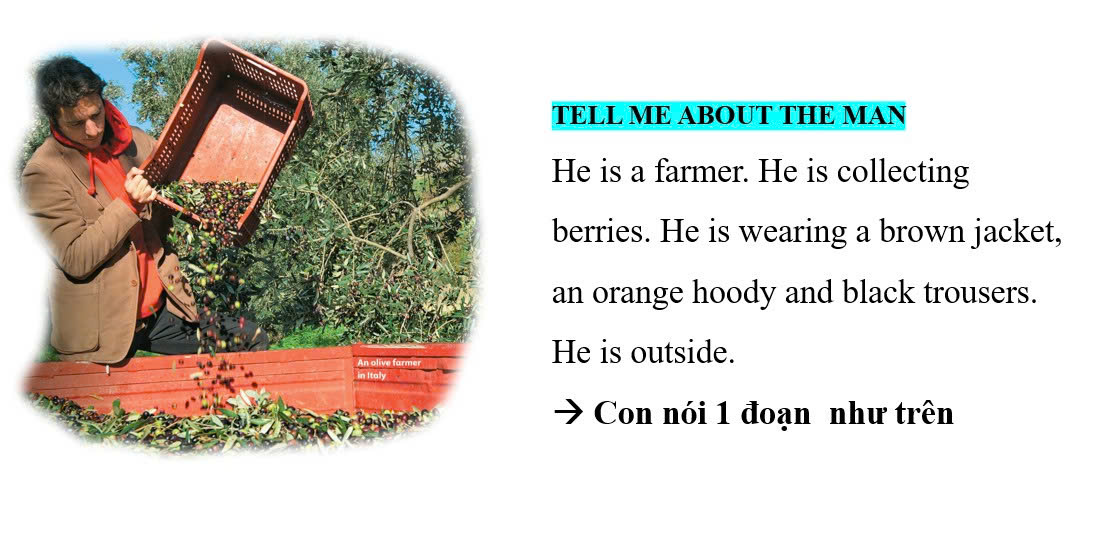 An olive farmer in Italy